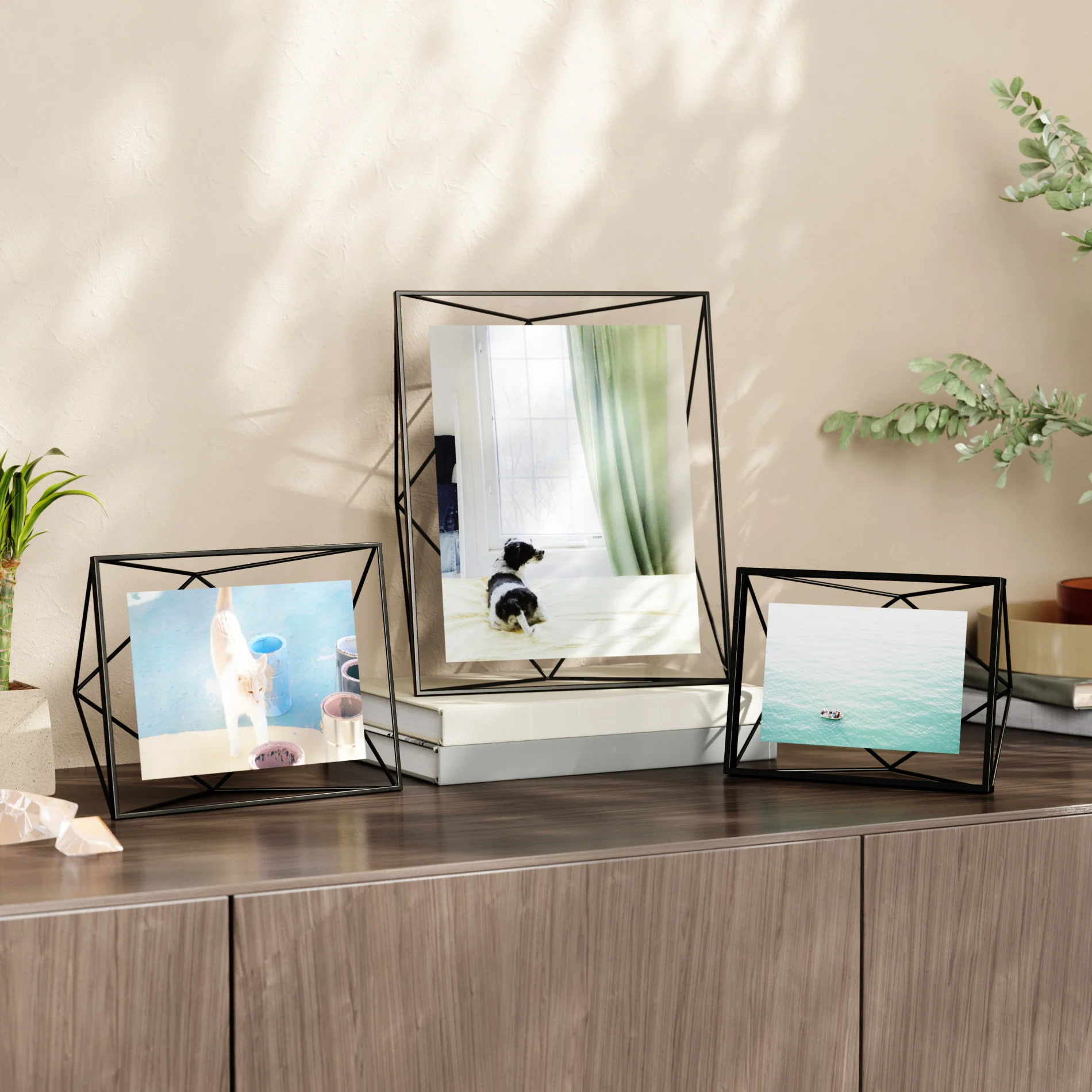 Product image 66